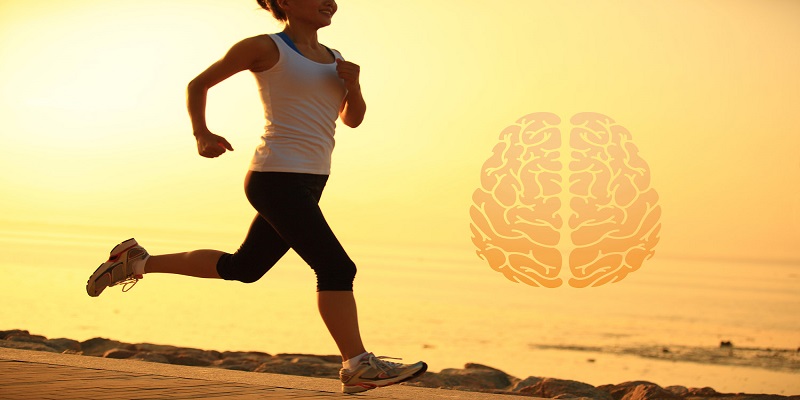 کاهش-خون-رسانی-به-مغز-با-ترک-ورزش